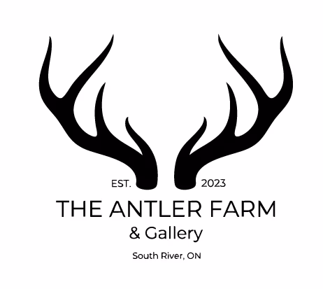 Scenic view of The Antler Farm.